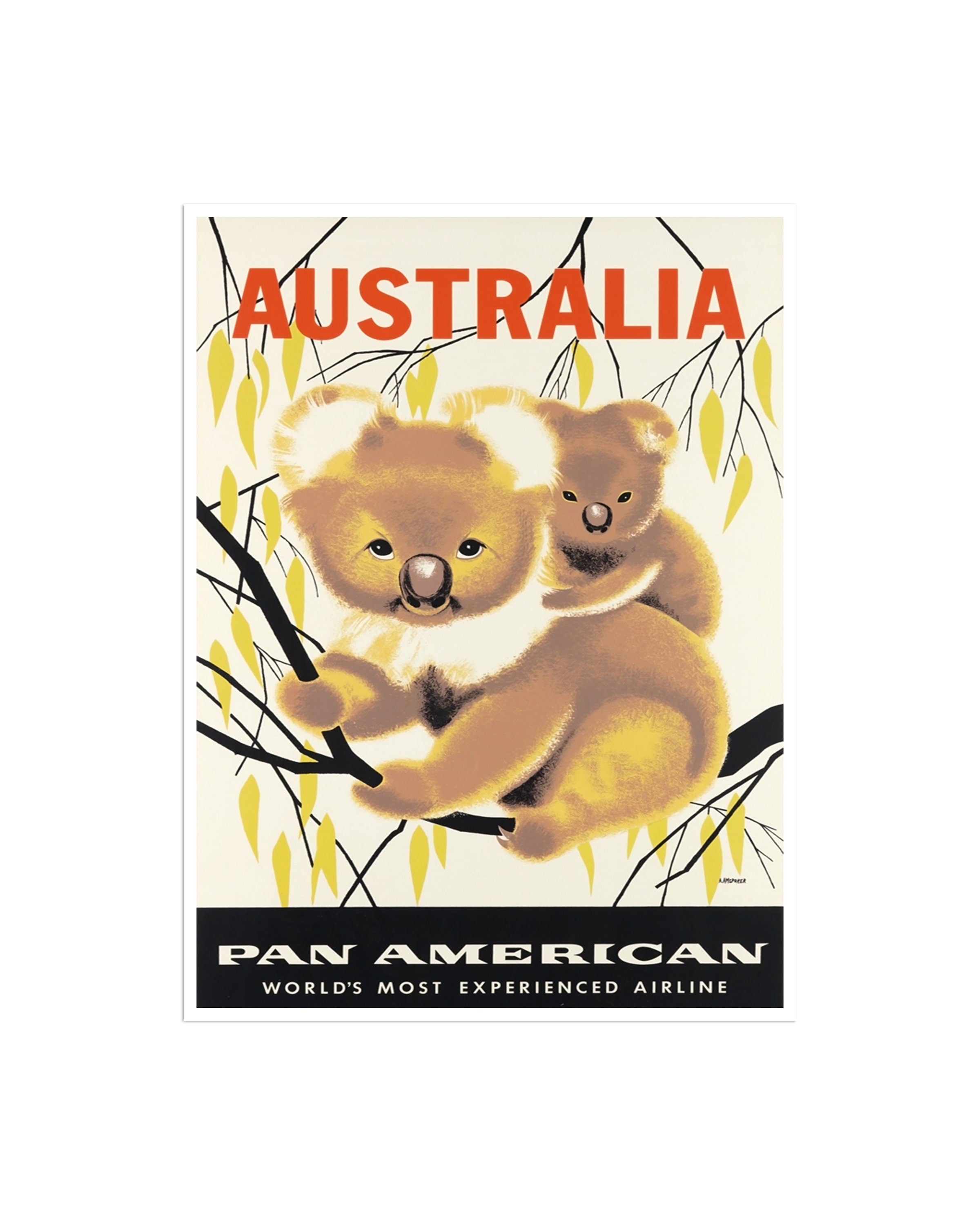 Australia Travel Poster Art Koala Bears Print Retro (XR1426)