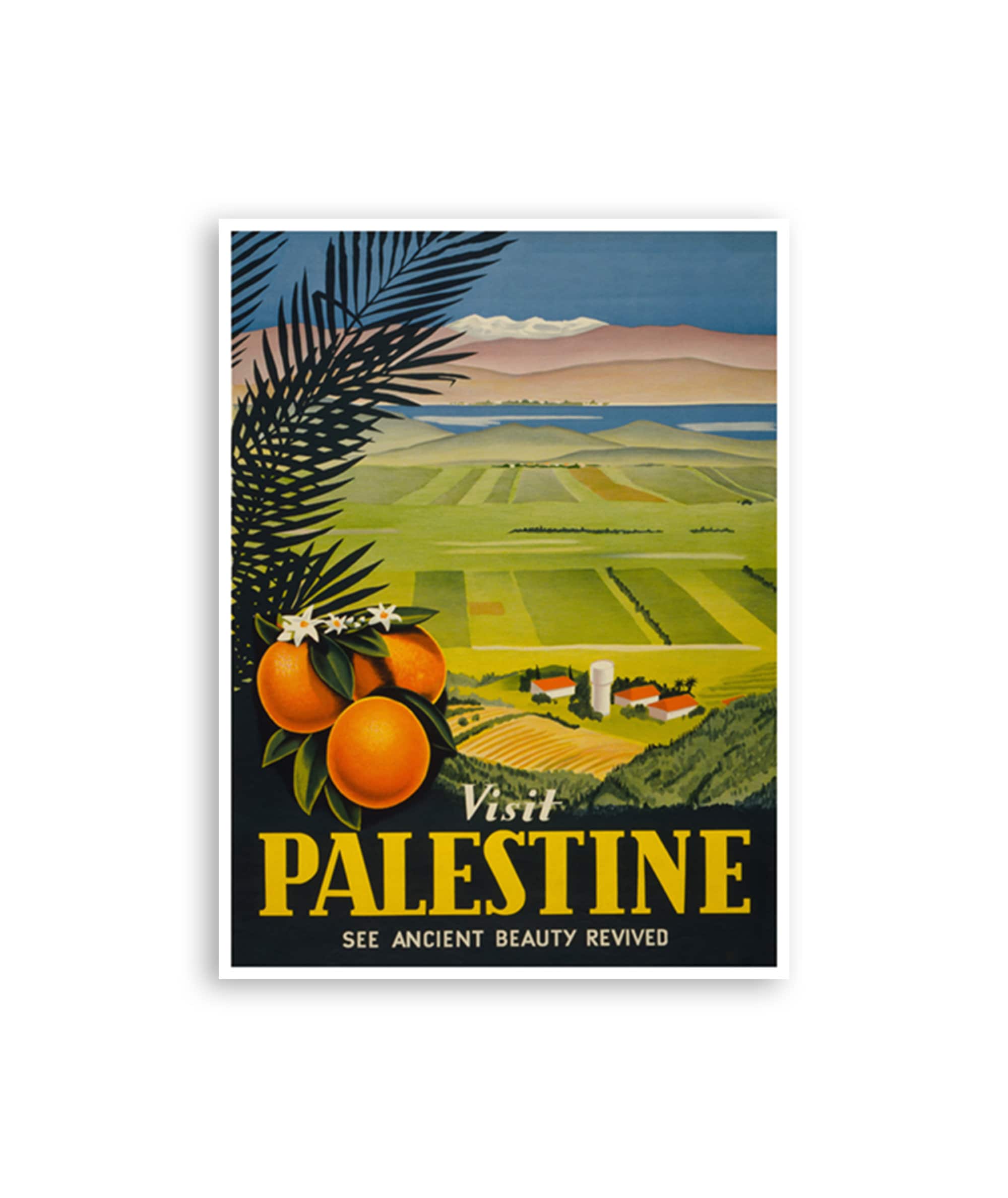 Vintage Palestine Art Travel Poster Retro Palestinian Print (H1168)