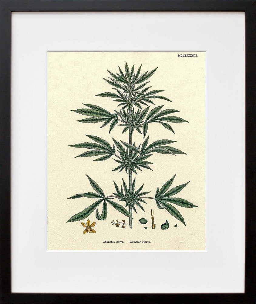 Cannabis Art Hemp Plant Wall Decor