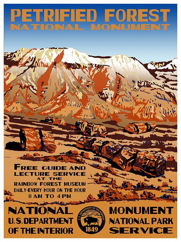 Travel Art Print National Park Petrified Forest Advertising Poster (TR31)