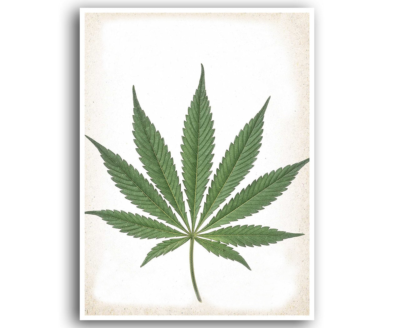 Cannabis Art Marijuana Print Weed Poster Hemp Plant Wall Decor Botanical 30