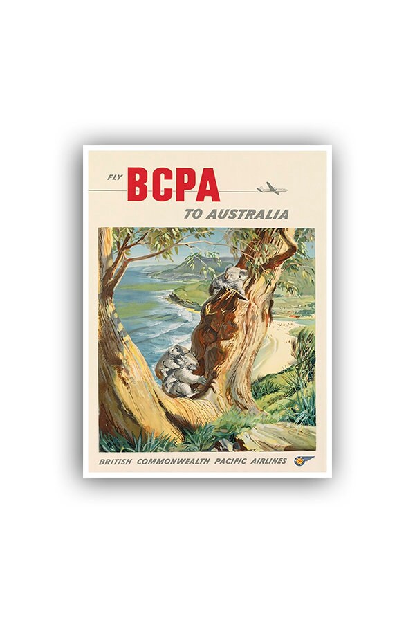 Australia Art Travel Poster Koala Bears Tourism Print (XR780)