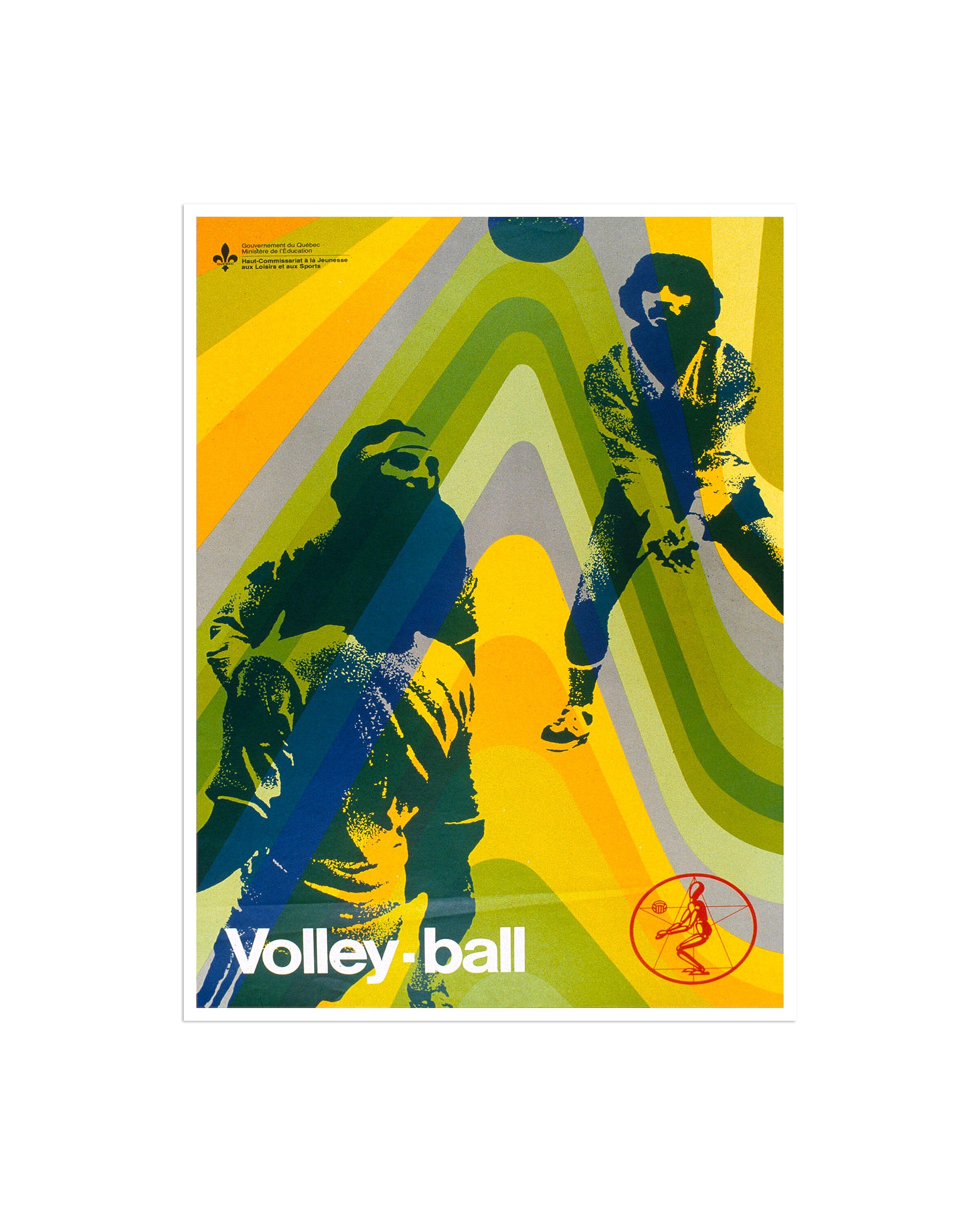 Volleyball Poster Sports Art Print Wall Decor (H306)