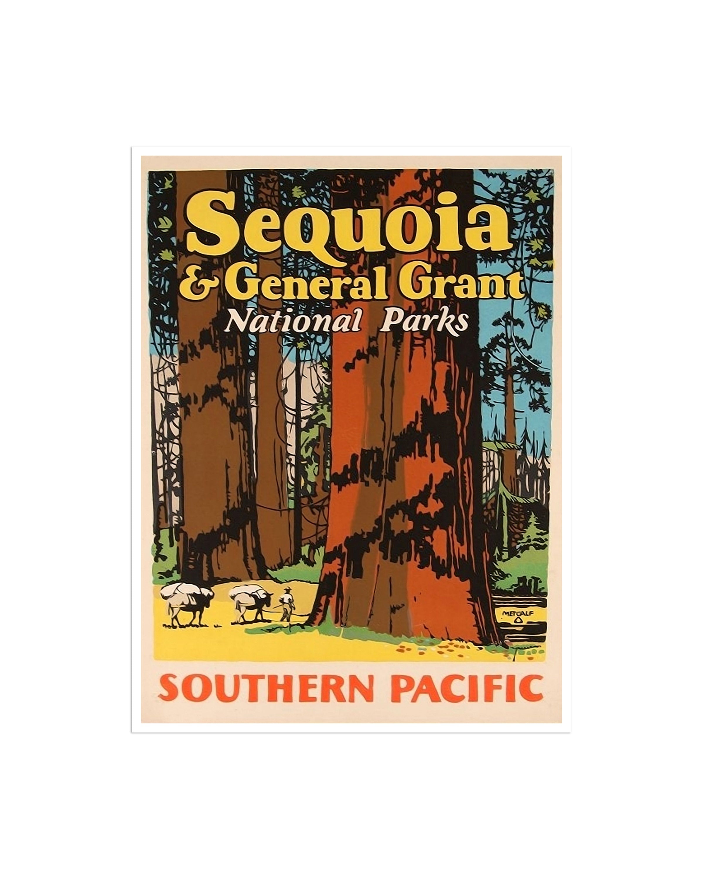 Sequoia National Park Travel Poster Art Print Sports Decor (H766)
