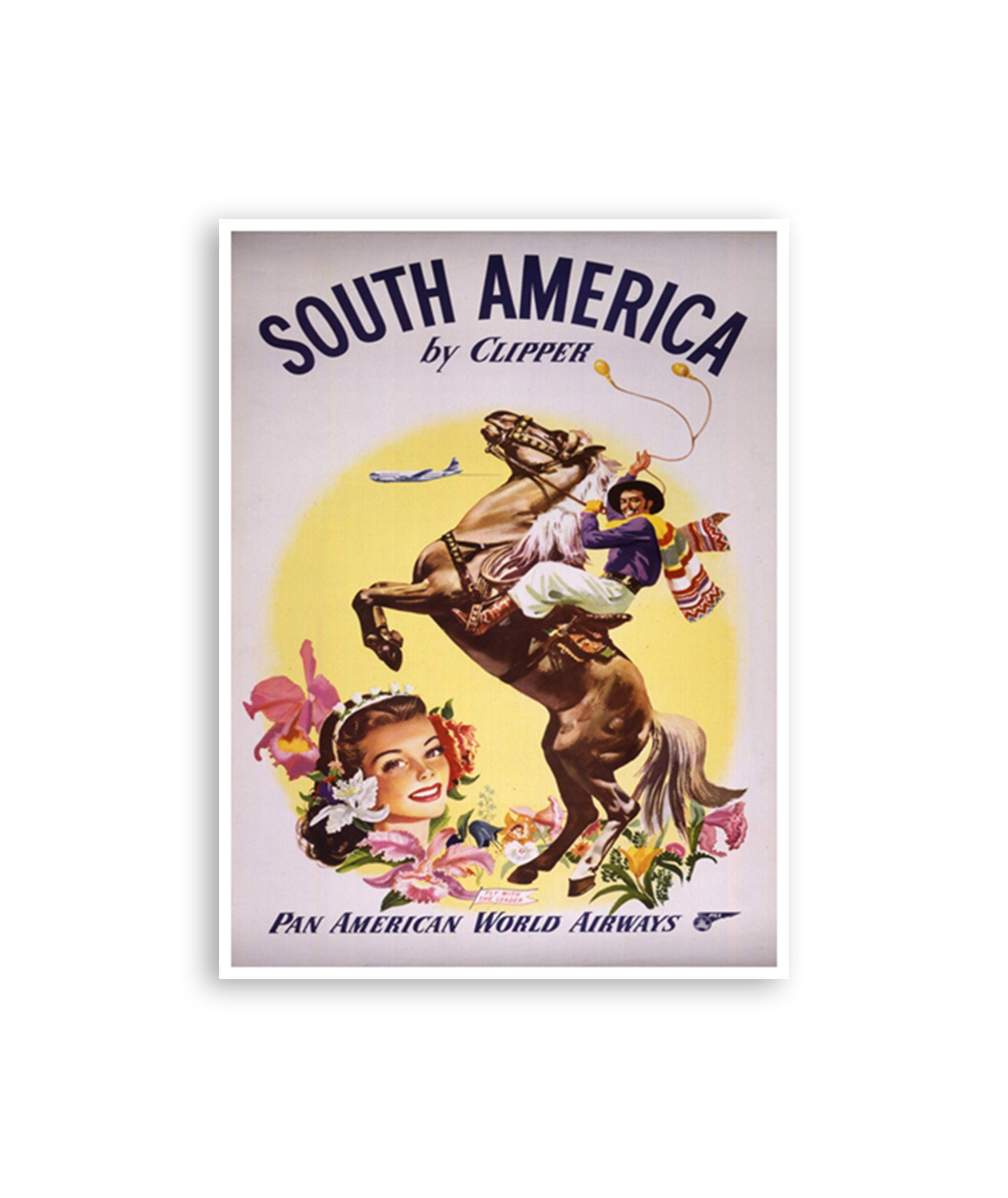 South America Travel Art Home Decor Sports Wall Art Print (H809)