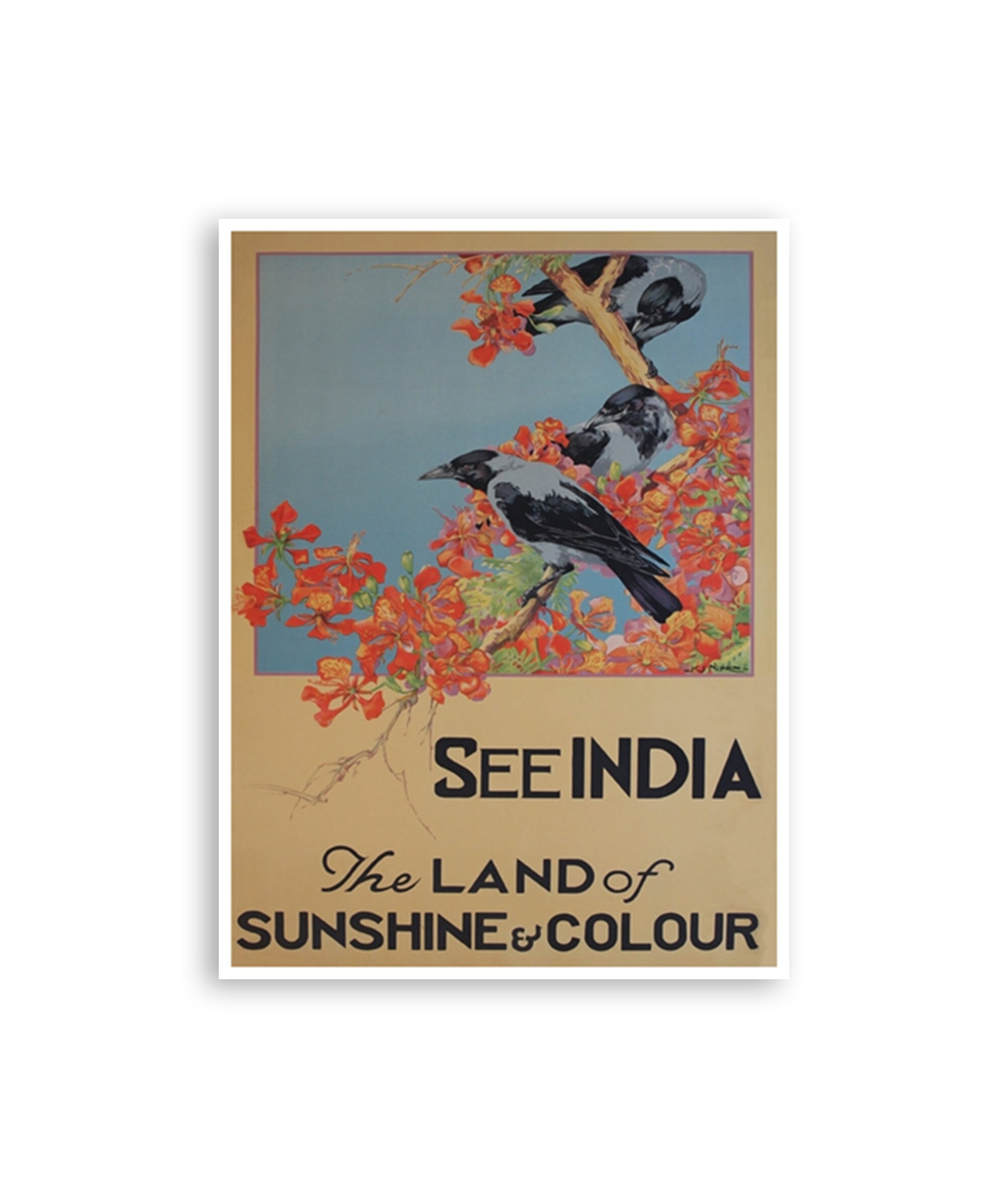 India Travel Art Poster Vintage Print (XR1906)