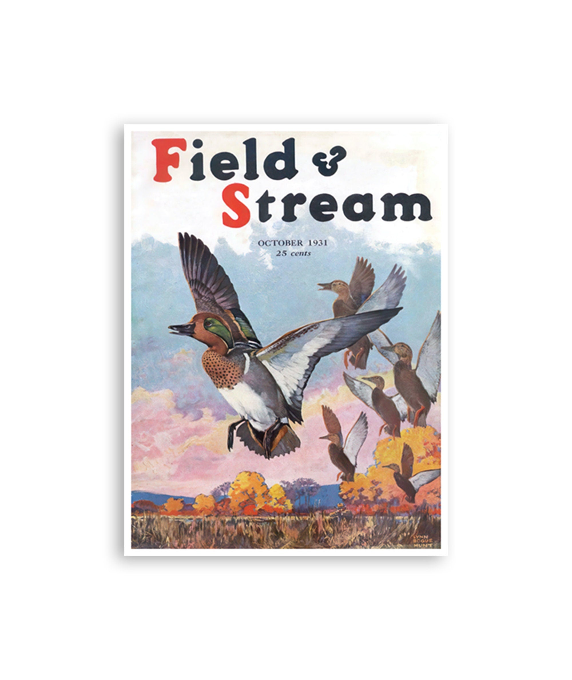 Duck Hunting Art Poster Home Decor Sports Print (H1208)