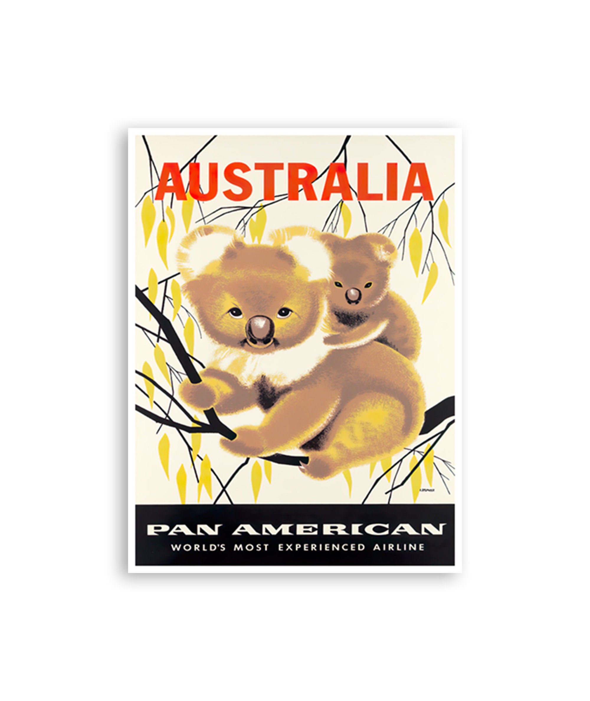 Australia Koala Art AUS Travel Poster Vintage Australian Print (H1354)