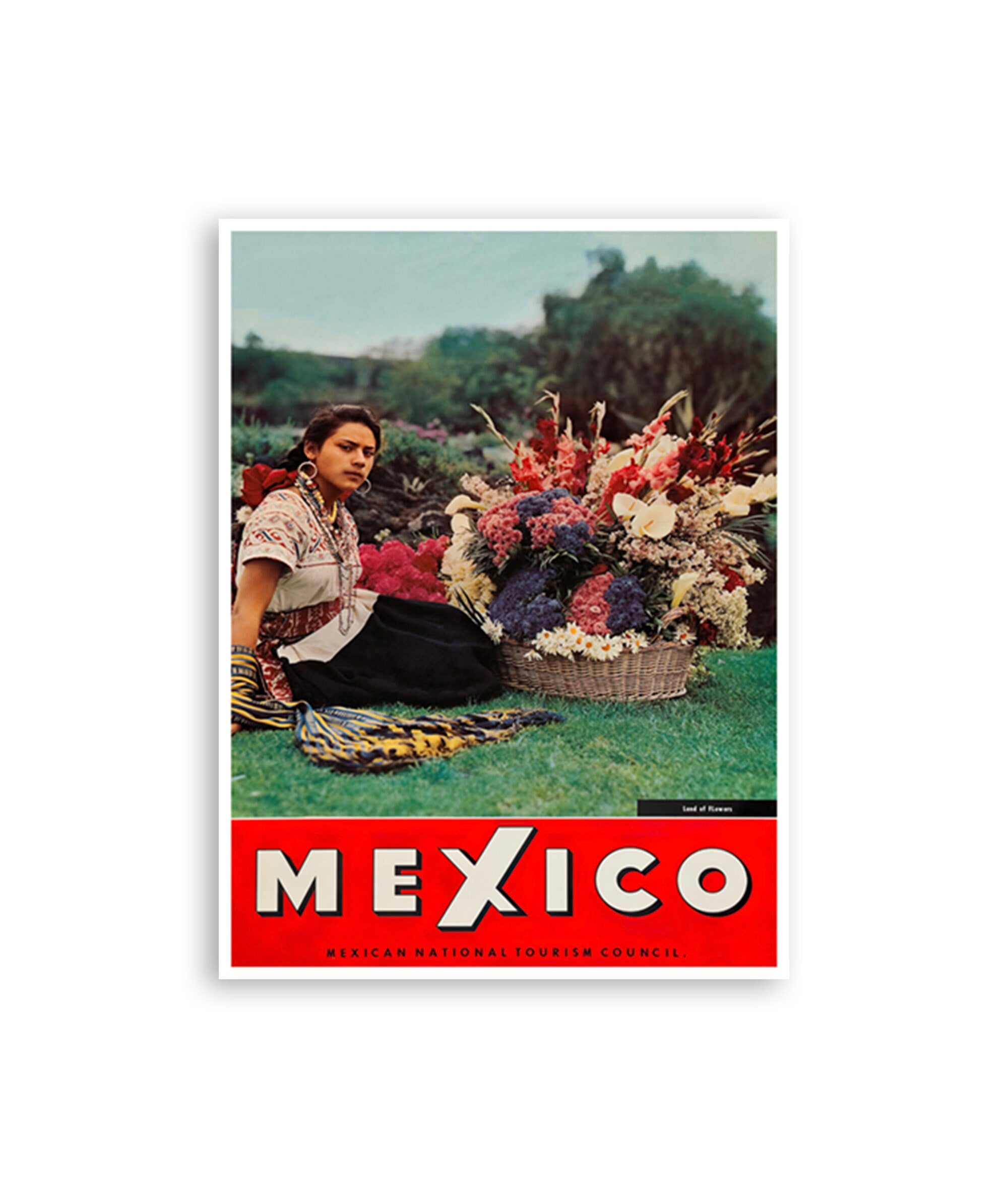 Mexico Travel Art Vintage Mexican Print Flowers Poster (H1409)