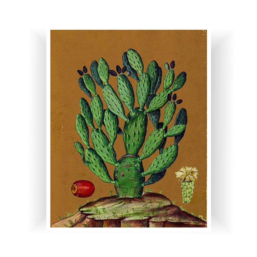 Cactus Art Botanical Print