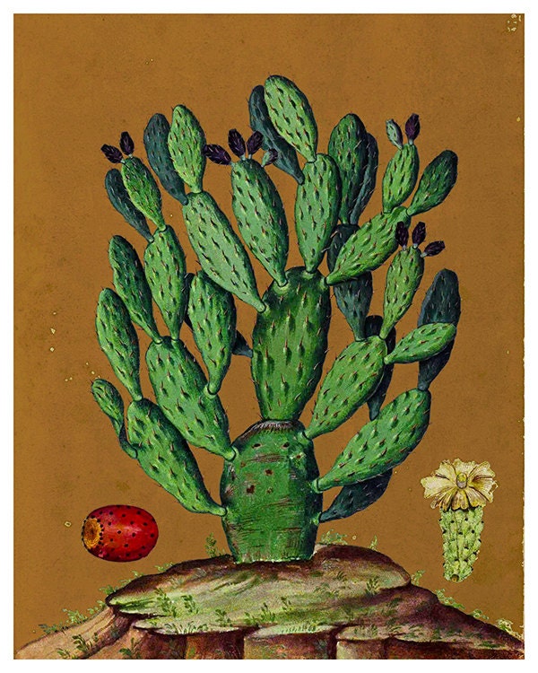 Cactus Art Botanical Print