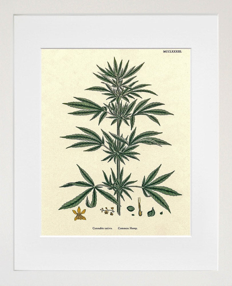 Cannabis Art Hemp Plant Wall Decor