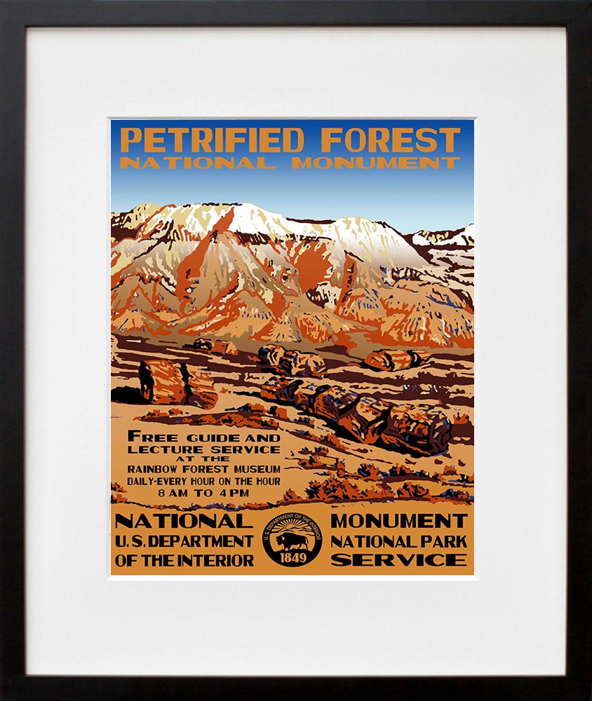 Travel Art Print National Park Petrified Forest Advertising Poster (TR31)