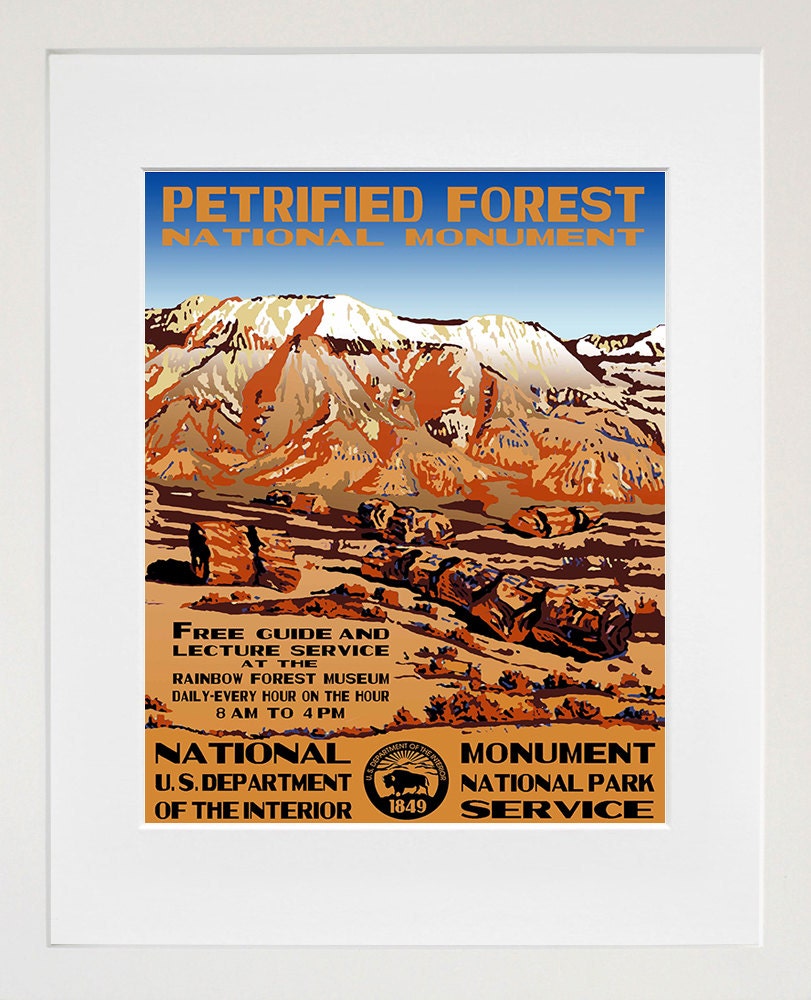 Travel Art Print National Park Petrified Forest Advertising Poster (TR31)