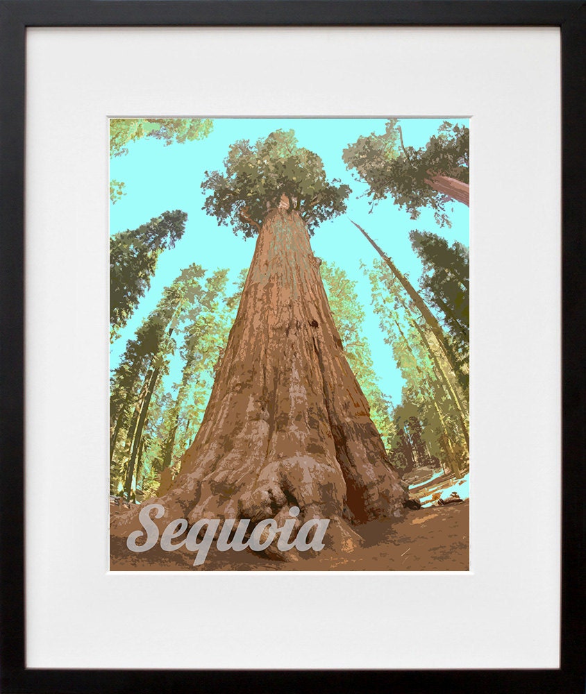 Sequoia National Park Art California Travel Poster Print Home Decor (ZB12)