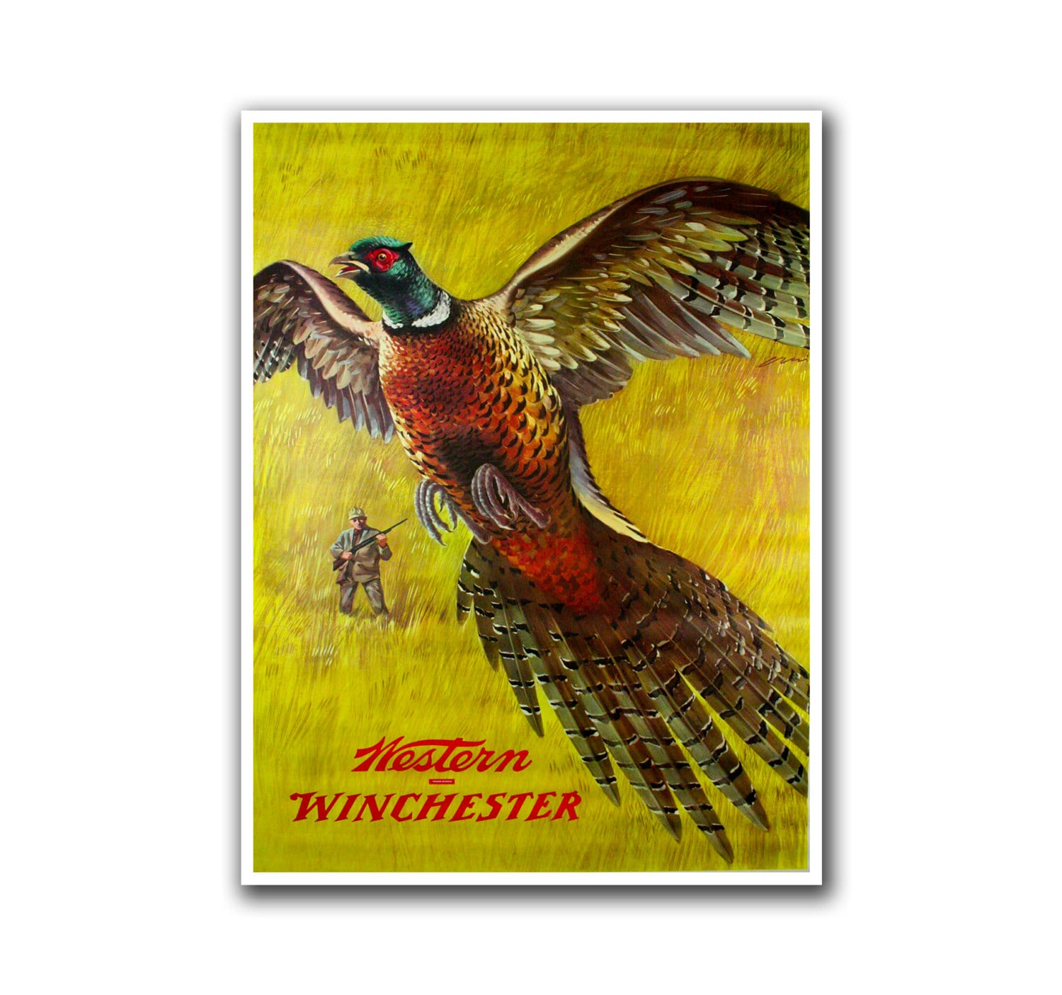 Bird Hunting Art Home Decor Pheasant Sports Poster Wall Art Print (H213)