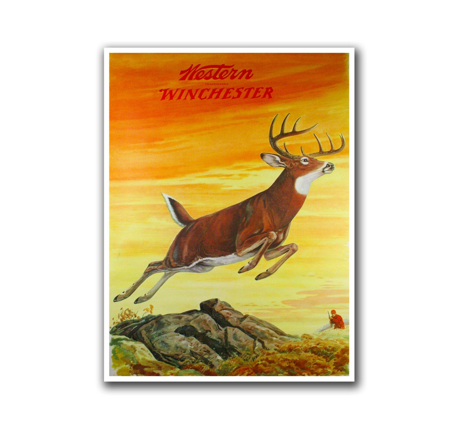 Deer Hunting Art Home Decor Sports Poster Wall Art Print (H214)
