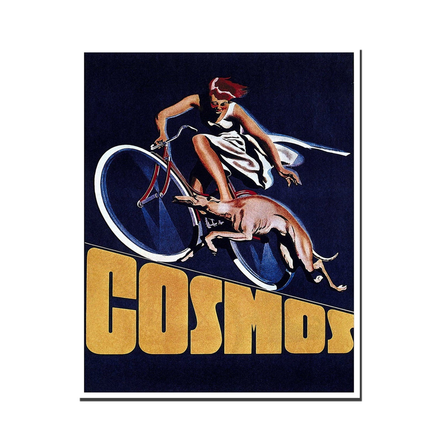 Retro Bike Poster Vintage Cycling Art Print (H232)