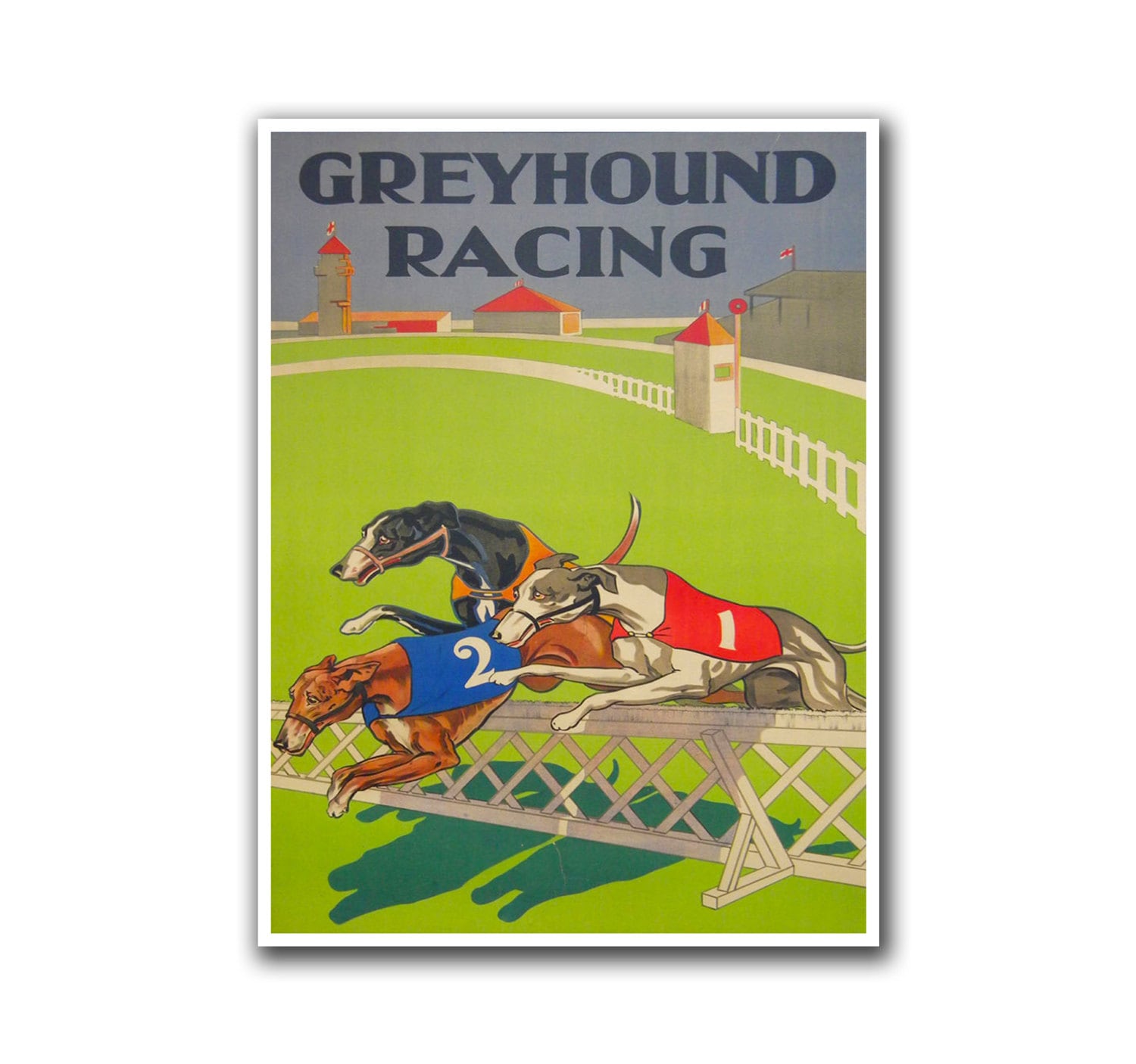 Dog Racing Poster Greyhound Sports Art Home Decor Print (H53)